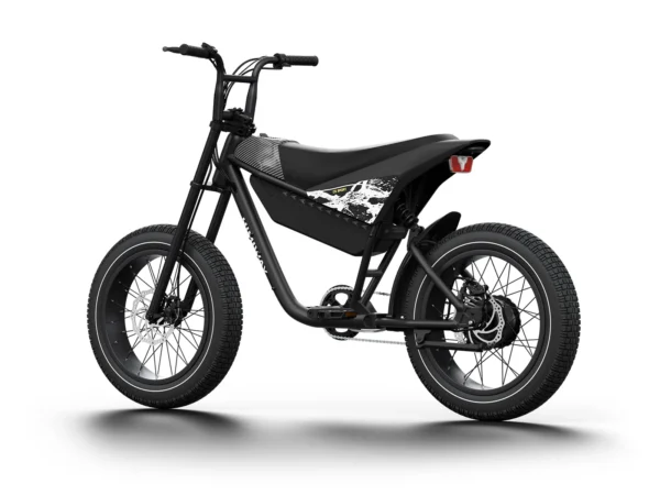 Himiway C5 Electric Motorbike Eco-Friendly Riding Experience - Image 7