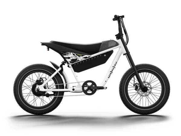 Himiway C5 Electric Motorbike Eco-Friendly Riding Experience - Image 5